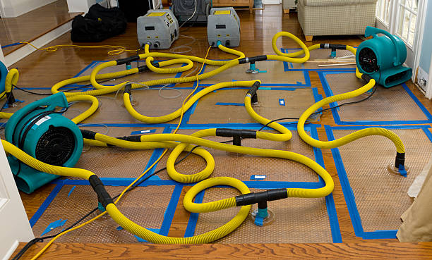 Professional Storm Water Damage Restoration technician working in Morgantown, IN